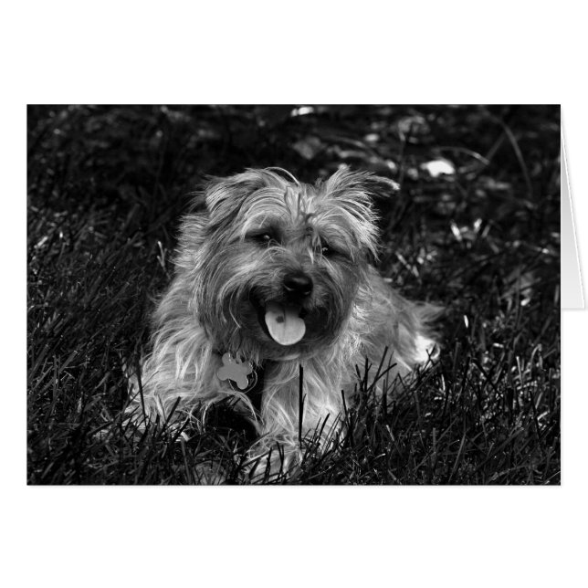 Happy Boy Card (Vorderseite (Horizontal))