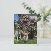 Happy Boys Postkarte (Stehend Vorderseite)