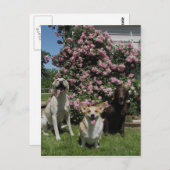 Happy Boys Postkarte (Vorne/Hinten)