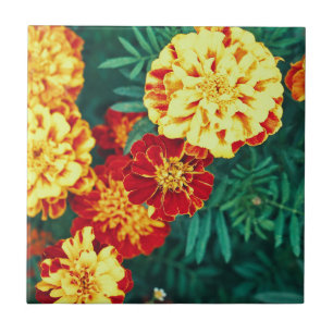 Happy Bright Marigold Blume Floral Fliese