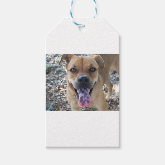 Happy Brown Hund mit gepunkteter Zunge Geschenkanhänger (Vorderseite)