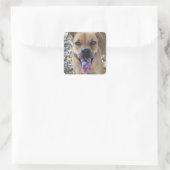 Happy Brown Hund mit gepunkteter Zunge Quadratischer Aufkleber (Tasche)