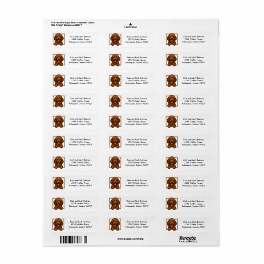 Happy Brown Poodle Rücksendeadresse (Vorne)