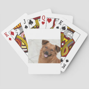 Happy Brown Puppy Dog Spielkarten