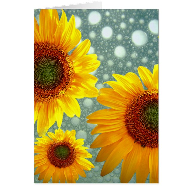 Happy Bubbly Sunblumen (Vorne)