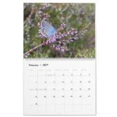 Happy Butterflies Kalender (Feb 2027)