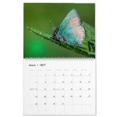 Happy Butterflies Kalender (Mär 2027)