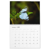 Happy Butterflies Kalender (Jan 2027)
