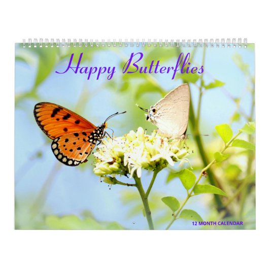 Happy Butterflies Kalender (Titelbild)