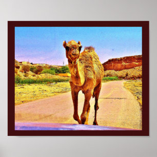 Happy Camel Poster