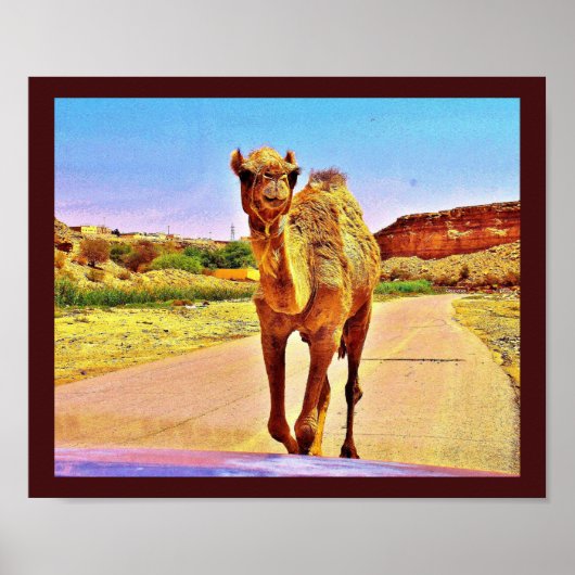 Happy Camel Poster (Vorne)