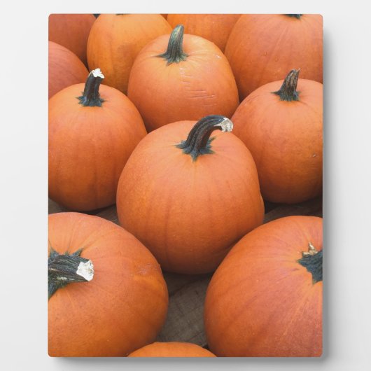 Happy Carving Fotoplatte (Vorderseite)
