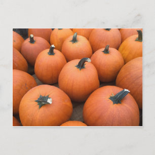 Happy Carving Postkarte