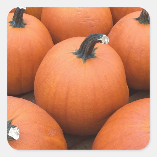 Happy Carving Quadratischer Aufkleber (Vorderseite)