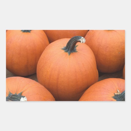 Happy Carving Rechteckiger Aufkleber (Vorderseite)