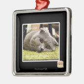 Happy Cat, aus glücklich Silbernes Ornament (Links)