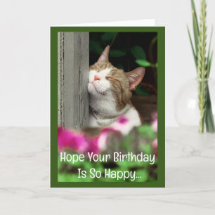 Happy Cat Birthday Card Karte