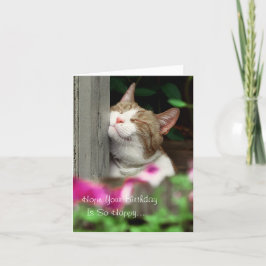 Happy Cat Birthday Card Karte