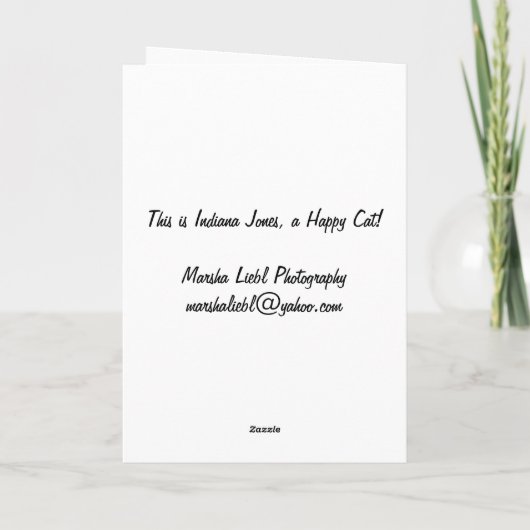 Happy Cat Birthday Card Karte (Rückseite)