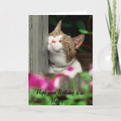 Happy Cat Birthday Card Karte (Vorderseite)