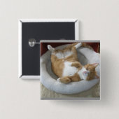 Happy Cat Button (Vorne & Hinten)