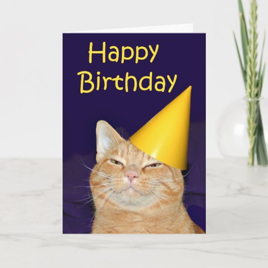 Happy Cat Happy Birthday Karte (Vorderseite)