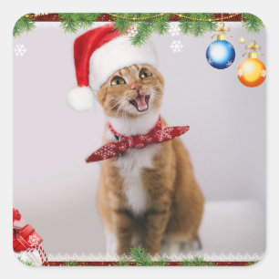 Happy Cat in Red Weihnachtsmütze Quadratischer Aufkleber