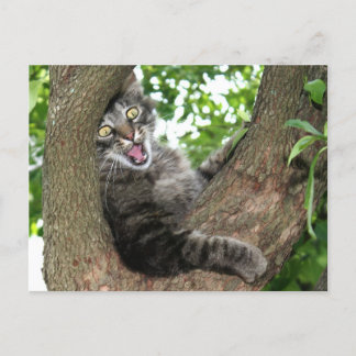 Happy Cat in tree Postkarte