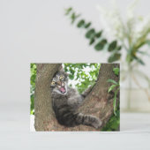 Happy Cat in tree Postkarte (Stehend Vorderseite)