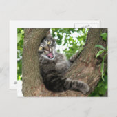 Happy Cat in tree Postkarte (Vorne/Hinten)