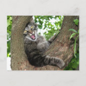 Happy Cat in tree Postkarte (Vorderseite)
