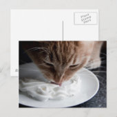 Happy Cat Postcard Postkarte (Vorne/Hinten)