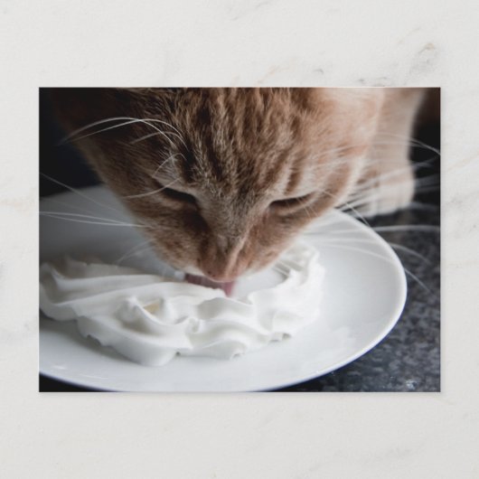 Happy Cat Postcard Postkarte (Vorderseite)