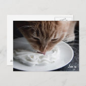 Happy Cat Postcard Postkarte (Vorne/Hinten)