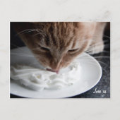 Happy Cat Postcard Postkarte (Vorderseite)