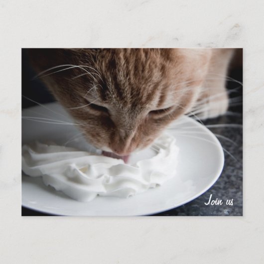 Happy Cat Postcard Postkarte (Vorderseite)