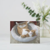 Happy Cat Postkarte (Stehend Vorderseite)