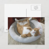 Happy Cat Postkarte (Vorne/Hinten)
