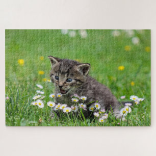 Happy Cat spielt mit Blume Puzzle