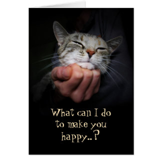 Happy Cat: Was kann ich tun, um dich glücklich zu 