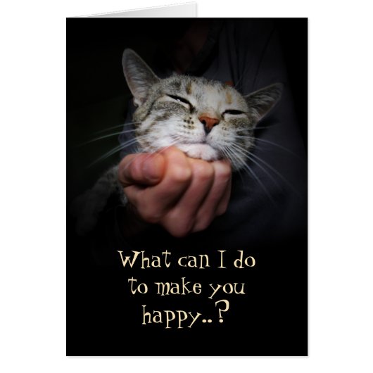 Happy Cat: Was kann ich tun, um dich glücklich zu (Vorne)
