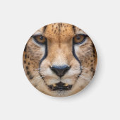 Happy Cheetah Magnet (Vorne)