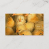 Happy Chicken Farm Visitenkarte (Rückseite)