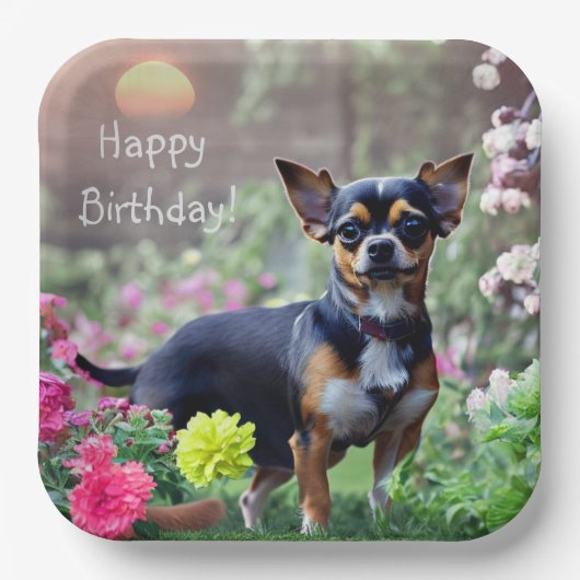 Happy Chihuahua Birthday Pappteller (Vorderseite)
