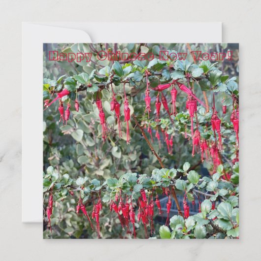 Happy Chinese New Year! Mitteilungskarte (Vorderseite)
