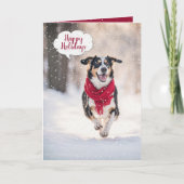 Happy Christmas Dog In Snow Karte (Vorderseite)