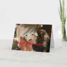 Happy Christmas Soft Toy Puppy