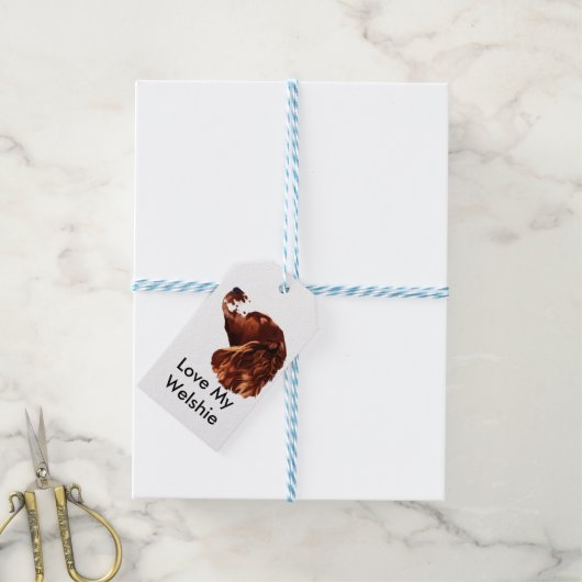 Happy Christmas Welsh Springer Spaniel Geschenkanhänger (Mit Garn)