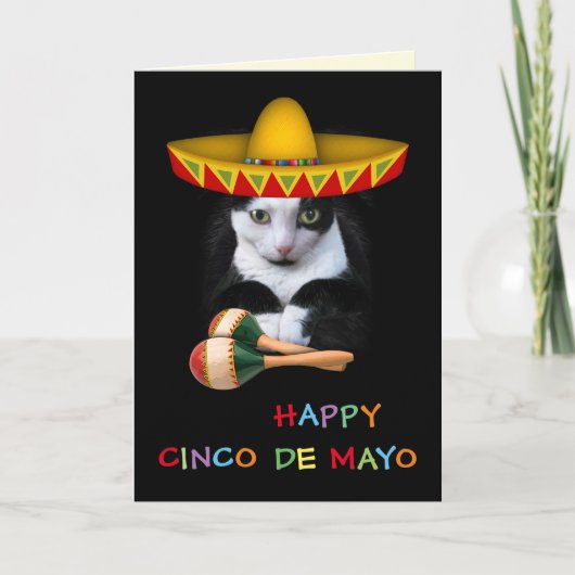 Happy Cinco De Mayo Cat Karte (Vorderseite)