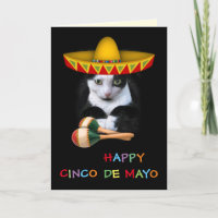 Happy Cinco De Mayo Cat
